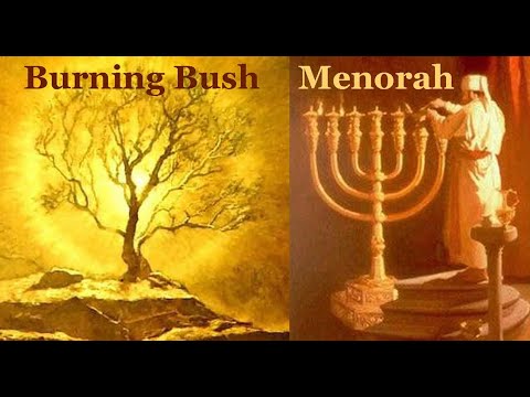 The Burning Bush & The Temple Menorah