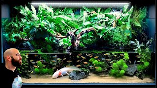 Making A 4ft Axolotl Paludarium From Start To Finish (Minisode)