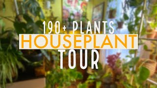 Houseplant Tour | Full Collection Summer 2020