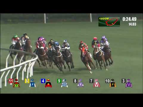 20/4/2022 (600) Blastoise - J Moreira