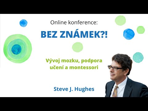 Brain development, learning support and Montessori | Steven J. Hughes