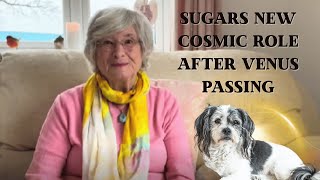 Sugars New Cosmic Role after Venus Passing Over