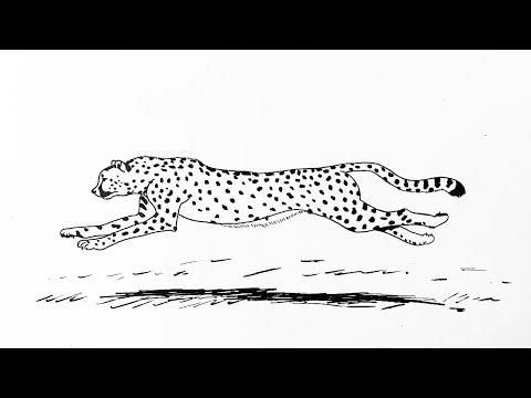 How to draw a cheetah running step by step