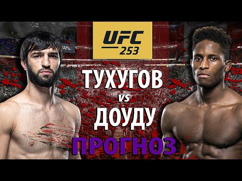 Зубайре Не Повезло? UFC 253: Зубайра Тухугов vs Хаким Даводу. Борьба или Ударка? Прогноз на бой.