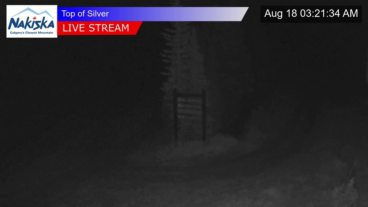 Nakiska webcam — Top of Silver Chair