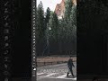 Create Trees Short Photoshop Tutorial Obaedakorani Photoshop Tutorial
