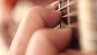 Frankie Chavez -  "Family Tree"