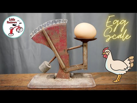 Vintage Egg Scale Restoration.