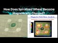 Strange Electromagnetic Effects Around Crop Circles (Part I)