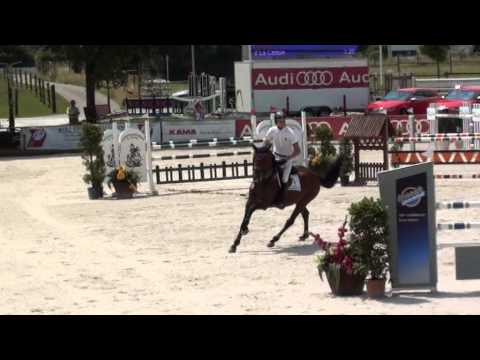 Hengst Landelin v. Landor S x Lanciano, Qualifikation Bundeschampionat Juli 2013