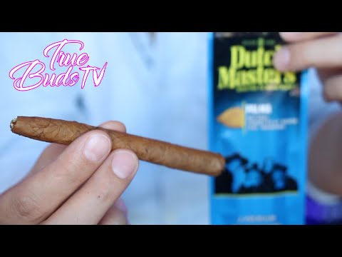 How To Roll Dutch Master Palma Properly | How To Scroll A Dutch Master True Buds TV