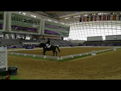 Al Shaqab Equestrian Centre Doha Qatar, Team Test Fritzzantino