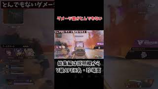 【V最協APEX】とんでもないダメージ量が出てますよアステル・レダ【渋谷ハル切り抜き】