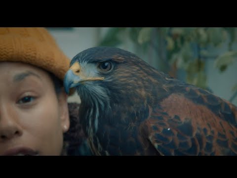 Amy True Ft Malachi - Flames