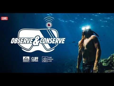 Live webcam view of Arrecife de Coral de Kona