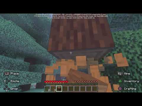 I played minecraft survival mode