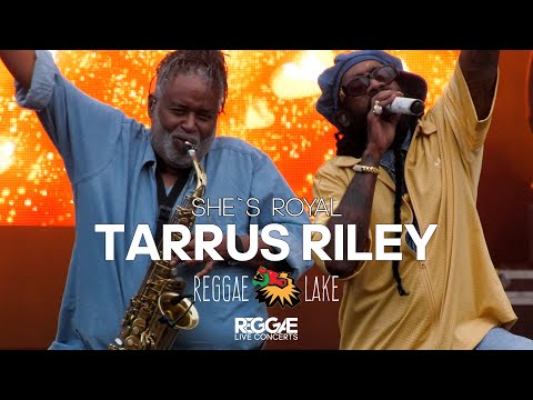 Tarrus Riley – She’s Royal (Live at Reggae Lake Festival) 👑 PURE LOVE & REGGAE VIBES 💚💛❤️
