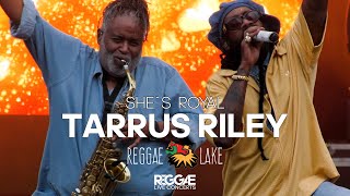 Tarrus Riley – She’s Royal (Live at Reggae Lake Festival) 👑 PURE LOVE &amp; REGGAE VIBES 💚💛❤️