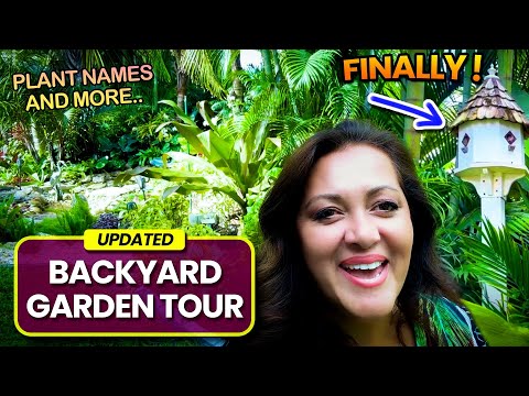 FINALLY!! ￼Updated tour of my Backyard tropical garden with plant names and more.