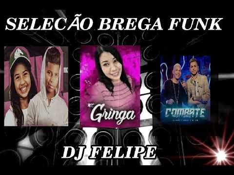 SELEÇÃO BREGA FUNK (DJ FELIPE)