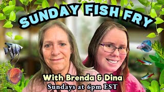 Sunday Fish Fry 📱