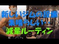 【新しいジムが設備良すぎ…】フィジーク2位の減量中期ルーティン