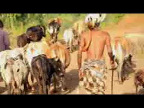 MARIRI BY BIKURU sms Skiza code 71224246 to 811