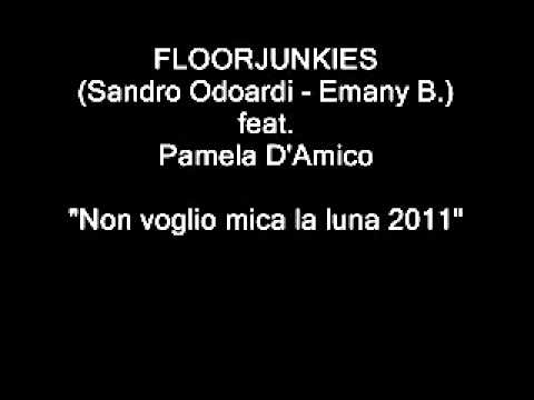 Sandro Odoardi aka Floorjunkies feat Pamela D'Amico - Non voglio mica la luna 2011