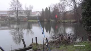 preview picture of video 'Forellen im Januarregen in Wiesenau'