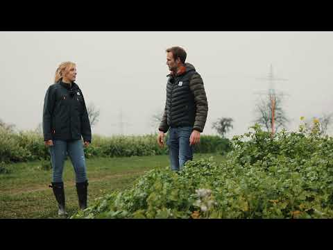 KWS Zwischenfrucht-Schaugarten: Einzel-Komponenten & Einfluss des Aussaatzeitpunktes