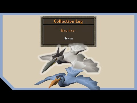 Heron Pet Drop + Recolor 🎣 OSRS Old School RuneScape