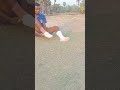 Practice Time Shorts Shortsvideo Trending Shrikant