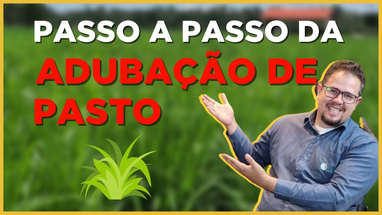 Passo a passo da ADUBAÇÃO DE PASTAGEM na Fazenda Uberaba