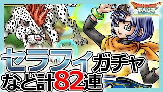 【DQタクト】強運再び！？セラフィSPスカウトガチャなど合計82連引いてみた結果【ドラクエタクト/DQT】