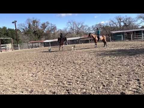 ALW Snip 2021-0203 better