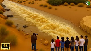 UNSEEN WONDERS OF PLANET | One in A Billion Moments in Nature #3