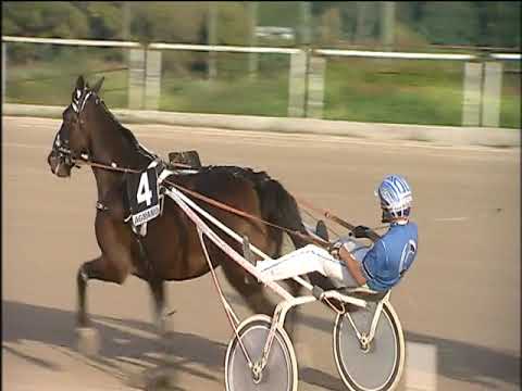 Trotto 13/10/2019 - 5ª corsa