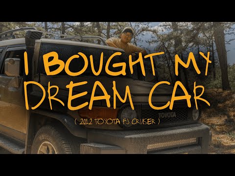 Meet My Toyota FJ Cruiser! - Weatherstrip Install & Black Trim Restoration