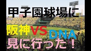 甲子園球場に、阪神　VS　DNA　の試合を見に行きました！
