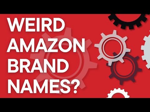 The truth behind weird brand names on Amazon like DGPIOD and FRENTYKIL? (Amazon FBA 101)