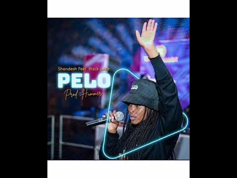 tittle :PELO song by shandesh feat black juize. ❤️ please subscribe. ❤️
