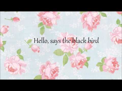Gypsy Jamboree video