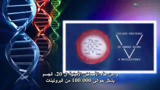 preview picture of video 'الحمض النووي والجينات تهدم نظرية التطور DNA and genes destroy Darwinian Evolution theory'