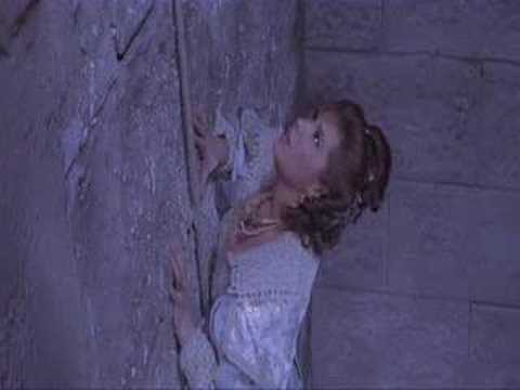 totò contro il pirata nero