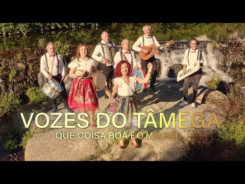 Vozes do Tâmega - Que coisa boa é o Malhão (Official video)