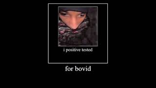 Cover art for I Povited Tested For Bovid