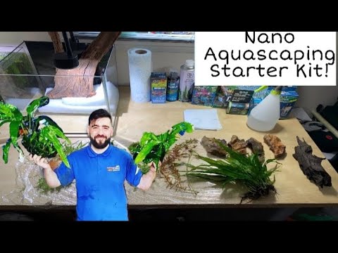 Nano Tank Aquascape For Beginners (Step By Step Tutorial How To Create A Planted Nano Aquarium)