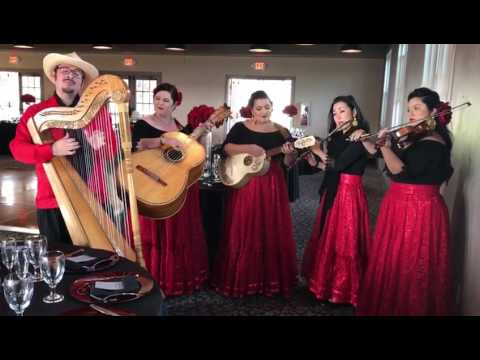 Promotional video thumbnail 14 for Grupo Bella