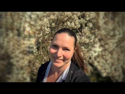 LUCIE SILKENOVÁ: Antonín Dvořák - Ave, maris stella