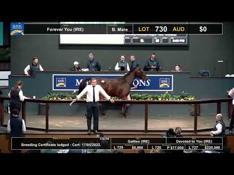 2022 Magic Millions GC National Broodmare Sale - Lot 730